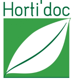 image in text